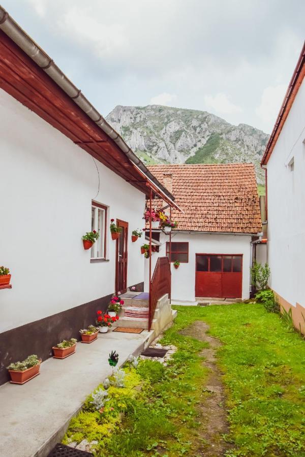 Casa De Vacanta Harsfa Vendeghaz Rimetea Exteriér fotografie