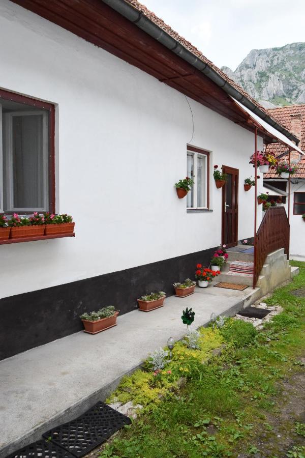 Casa De Vacanta Harsfa Vendeghaz Rimetea Exteriér fotografie