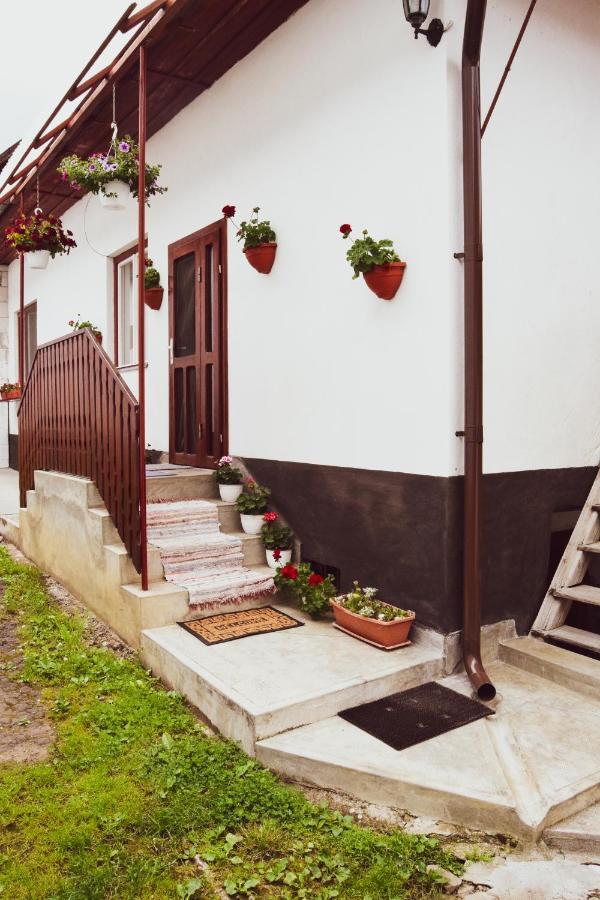 Casa De Vacanta Harsfa Vendeghaz Rimetea Exteriér fotografie